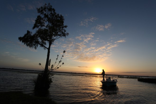 Bass fishing Florida